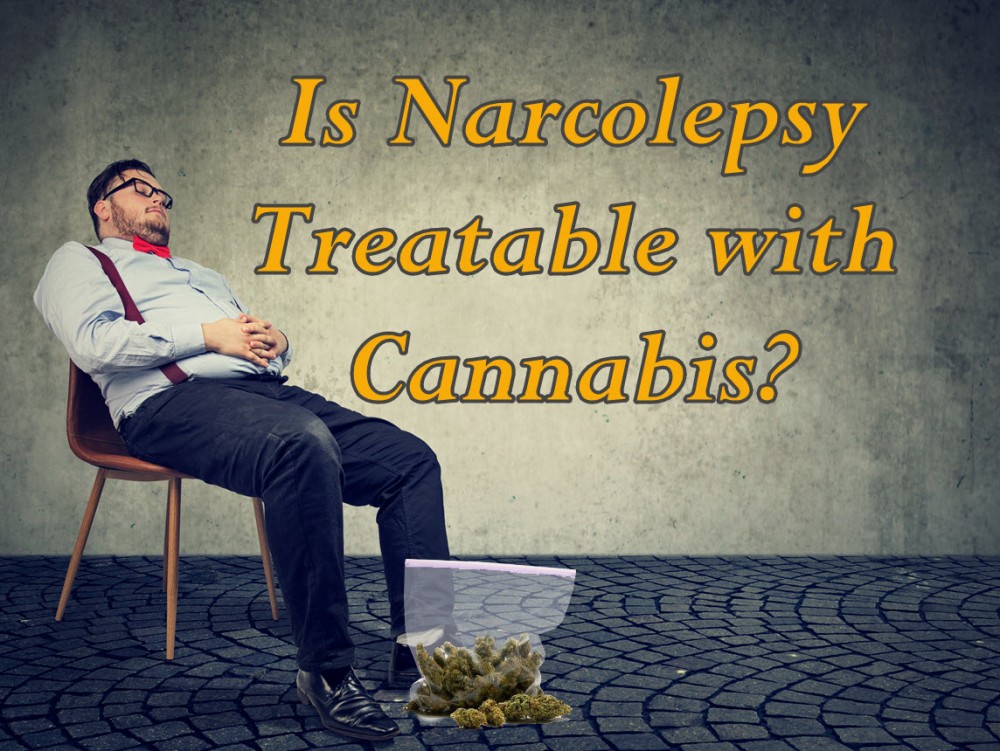 CANNABIS FOR NARCOLEPSY